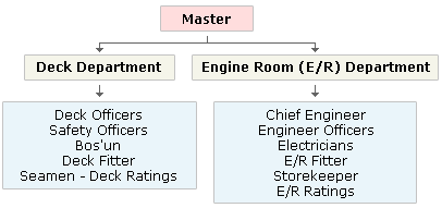 Cruise ship engineer job description